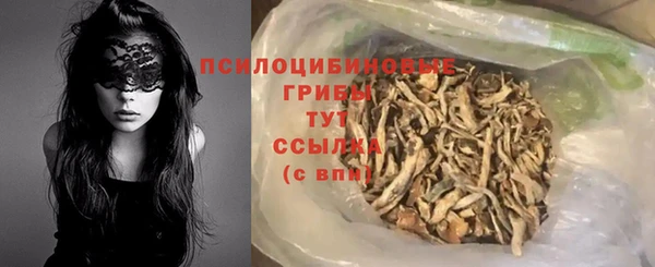 индика Осташков