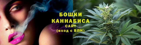 МДПВ Осинники