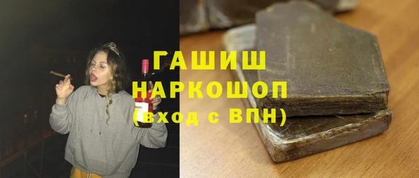 индика Осташков