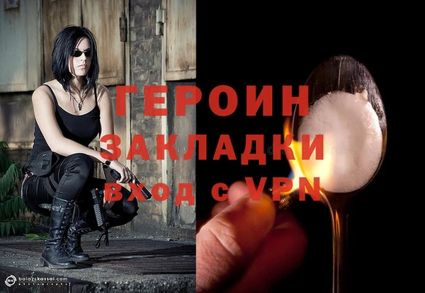 индика Осташков