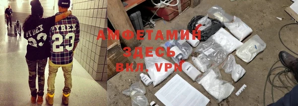 индика Осташков