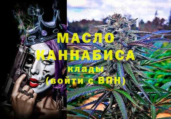 индика Осташков
