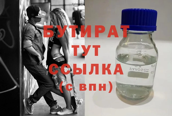 индика Осташков