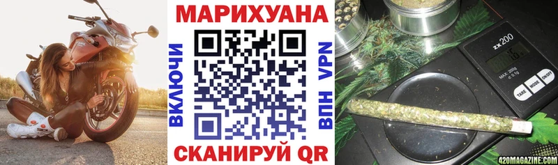 Канабис сатива Яровое